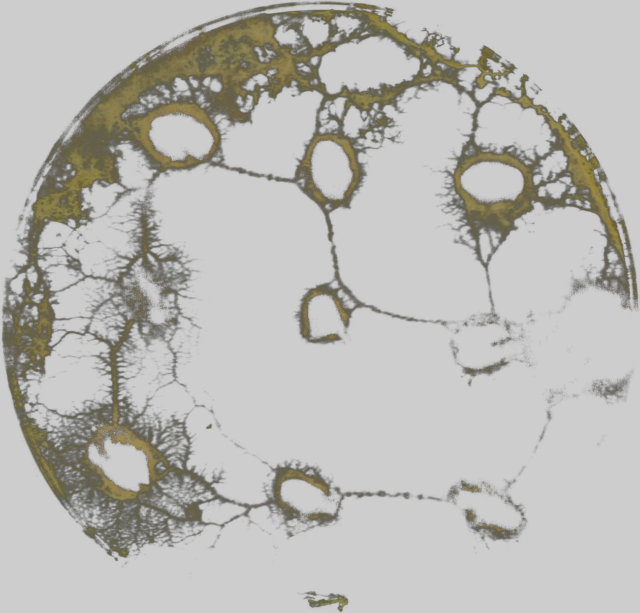 Textur
