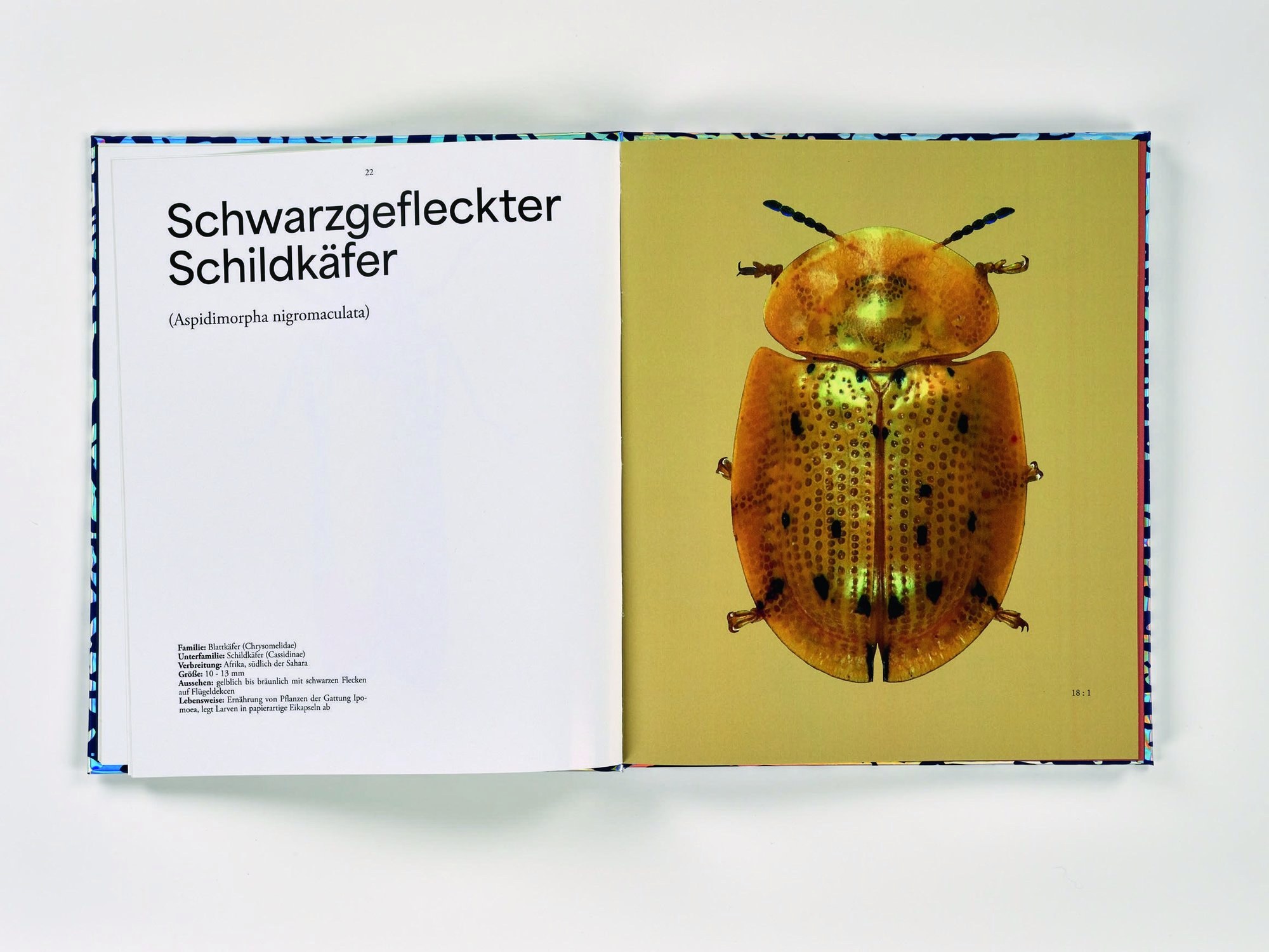 Doppelseite